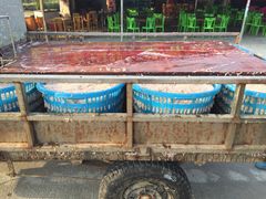 -浪琴湾尾角仔海鲜坊