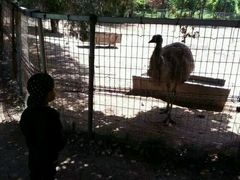 -祥源·阜阳生态乐园