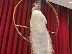 -红顶食府(滨湖九号店)