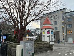 -冰岛阴茎博物馆