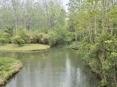 -溱湖国家湿地公园