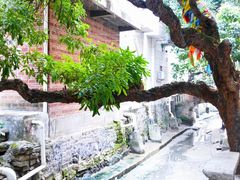 -小洲村