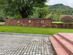 -铁山坪森林公园