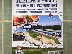 -北京佳信宠物医院