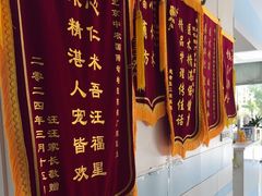 -中农国际动物医院24小时·猫科·骨科·急重症中心