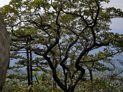 -罗田薄刀峰风景区