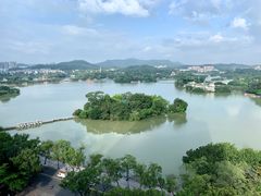-惠州康帝国际酒店