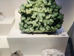 -重庆自然博物馆(新馆)