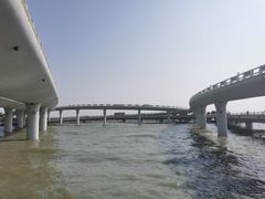 -演武大桥观景平台