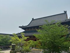 -博鳌禅寺
