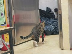 -玉椰林甜品店(创始店)