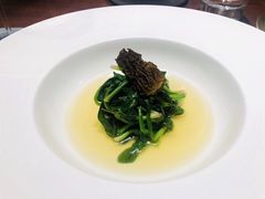 -子福慧(虹桥店)