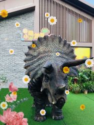 -恐龙探索乐园(磁器口店)