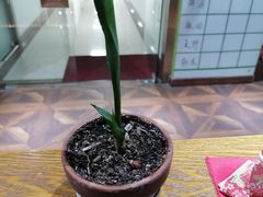 -学习谷日语培训日本留学·多语种外语教学(海淀人大分部)