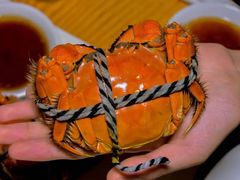 清蒸大闸蟹-威斯汀舞台餐厅