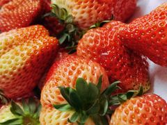 -建德果蔬乐园绪塘草莓基地