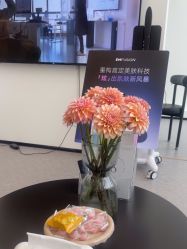 -JNK皮肤管理中心