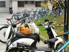 -长安大学(北校区)