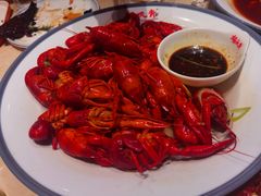 -杨氏青龙虾·羊蝎子(珠江路店)