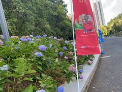 -阿哈湖国家湿地公园