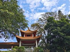 -深圳仙湖植物园