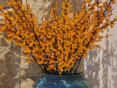 -鉴川·川菜传承(星汇两江店)