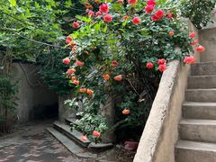 -天津五大道文化旅游区