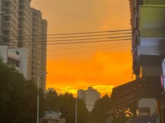 -广州塔晖粤轩中餐厅