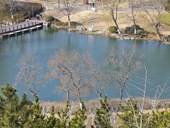 -桃花岛公园