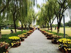 -上海大学(宝山校区)