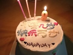 -维尔纳斯·生日蛋糕动物奶油冰淇淋蛋糕(人大店)