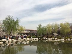 -西安青龙寺遗址景区