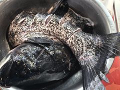 -好灶头妈妈菜·柴火灶台鱼·千岛湖土菜地标美食