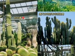 -中国科学院华南植物园