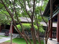 -碑林公园
