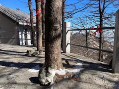 -崂山巨峰游览区