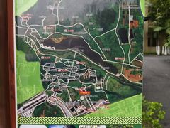 -广西壮族自治区药用植物园