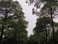 -海珠湖公园