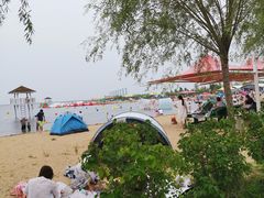 -呼兰河口湿地公园