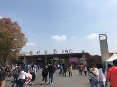 -顾村公园3号门停车场