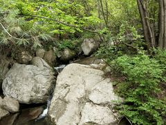 -王顺山国家森林公园