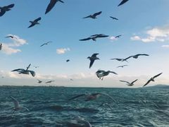 -顶之鲜海鲜餐厅
