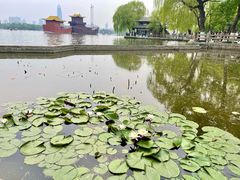 -济南大明湖景区