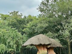 -宁波野生动物园
