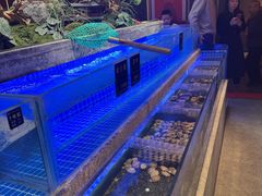 -鸽子侯·家宴·平价海鲜(绿地店)