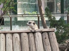-天津市动物园