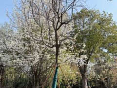 -梁鸿国家湿地公园