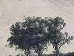 -杨梅红艺术教育(北京金源购物中心校区)