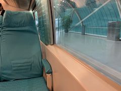 -龙阳路磁悬浮列车总站-停车场