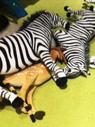 -幻贝家儿童乐园(苏州中心店)